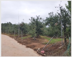  2024Ÿ11516  û۱  帮 395-2      ()