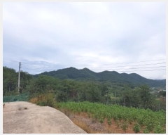  2024Ÿ11516  û۱  帮 395-2      ()