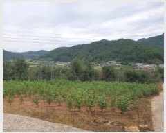  2024Ÿ11516  û۱  帮 395-2      ()