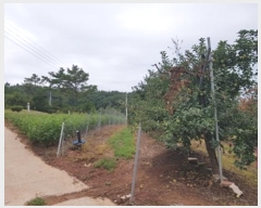  2024Ÿ11516  û۱  帮 395-2      ()