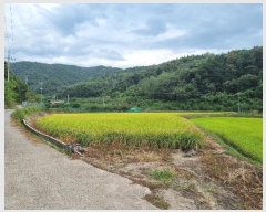  2024Ÿ��11547 �뱸 ������ ������ �ݱ��� 29      ����(��)���