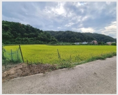  2024Ÿ��11547 �뱸 ������ ������ �ݱ��� 29      ����(��)���