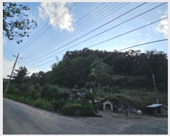  2024Ÿ��11585 ��� �Ǽ��� �ݼ��� ������ ��125      ����(�Ӿ�)���