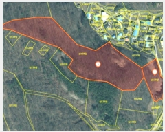  2024Ÿ��11585 ��� �Ǽ��� �ݼ��� ������ ��125      ����(�Ӿ�)���