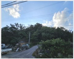  2024Ÿ��11585 ��� �Ǽ��� �ݼ��� ������ ��125      ����(�Ӿ�)���