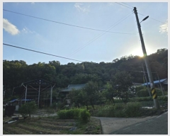  2024Ÿ��11585 ��� �Ǽ��� �ݼ��� ������ ��125      ����(�Ӿ�)���