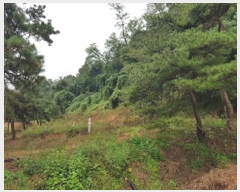  2024Ÿ��11585 ��� �Ǽ��� �ݼ��� ������ ��125      ����(�Ӿ�)���