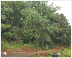  2024Ÿ��11585 ��� �Ǽ��� �ݼ��� ������ ��125      ����(�Ӿ�)���