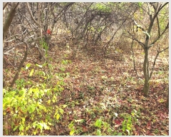  2024Ÿ��11721 ��� û�۱� ������ ���Ÿ� ��7      ����(�Ӿ�)���