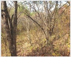  2024Ÿ��11721 ��� û�۱� ������ ���Ÿ� ��7      ����(�Ӿ�)���