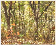  2024Ÿ��11721 ��� û�۱� ������ ���Ÿ� ��7      ����(�Ӿ�)���