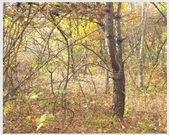  2024Ÿ��11721 ��� û�۱� ������ ���Ÿ� ��7      ����(�Ӿ�)���