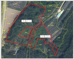  2024Ÿ��11721 ��� û�۱� ������ ���Ÿ� ��7      ����(�Ӿ�)���