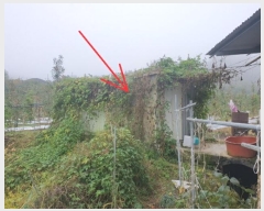  2024Ÿ11745  û۱ γ  694-1      (1)