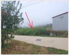  2024Ÿ11745  û۱ γ  694-1      (1)