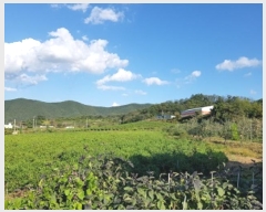  2024Ÿ11745  û۱ γ  694-1      (1)