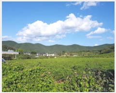  2024Ÿ11745  û۱ γ  694-1      (1)