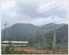  2024Ÿ11820  Ǽ   39      (Ӿ)