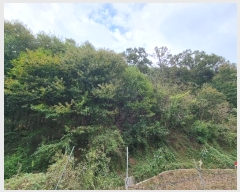  2024Ÿ11820  Ǽ   39      (Ӿ)