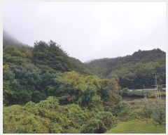  2024Ÿ11820  Ǽ   39      (Ӿ)