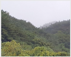  2024Ÿ11820  Ǽ   39      (Ӿ)