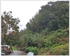  2024Ÿ11820  Ǽ   39      (Ӿ)