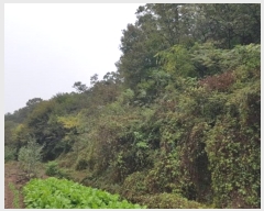  2024Ÿ11820  Ǽ   39      (Ӿ)