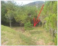  2024Ÿ11844 뱸  ﱹ ȭϸ 610-4      (1)