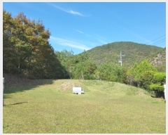  2024Ÿ11844 뱸  ﱹ ȭϸ 610-4      (1)