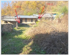  2024Ÿ11974 뱸  캸 ޻긮 139      ()