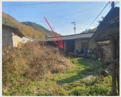  2024Ÿ11974 뱸  캸 ޻긮 139      ()