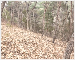  2024Ÿ11998 뱸  Һ 긮 62      (Ӿ)