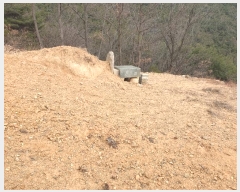  2024Ÿ11998 뱸  Һ 긮 62      (Ӿ)