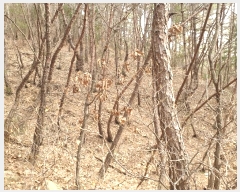  2024Ÿ11998 뱸  Һ 긮 62      (Ӿ)