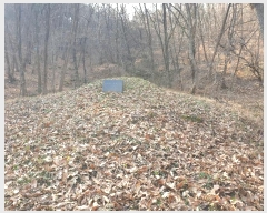  2024Ÿ11998 뱸  Һ 긮 62      (Ӿ)