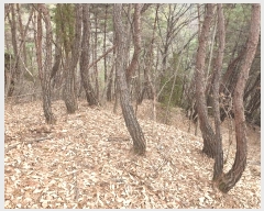  2024Ÿ11998 뱸  Һ 긮 62      (Ӿ)