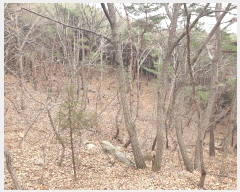  2024Ÿ11998 뱸  Һ 긮 62      (Ӿ)