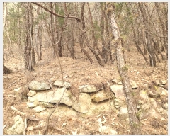  2024Ÿ11998 뱸  Һ 긮 62      (Ӿ)