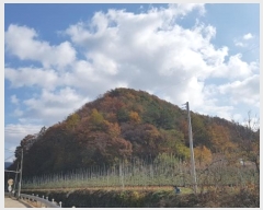  2024Ÿ��12007  �Ӿ߰��