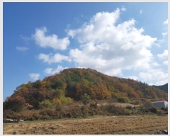  2024Ÿ��12007  �Ӿ߰��