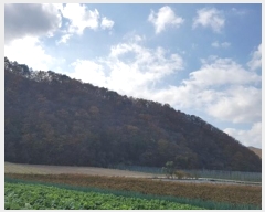  2024Ÿ��12007  �Ӿ߰��