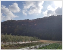  2024Ÿ��12007  �Ӿ߰��