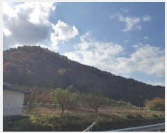  2024Ÿ��12007  �Ӿ߰��