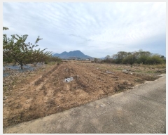  2024Ÿ��12014 ��� �Ǽ��� �ݼ��� �븮�� 623      ����(��1)���