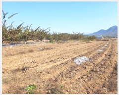  2024Ÿ��12014 ��� �Ǽ��� �ݼ��� �븮�� 623      ����(��1)���