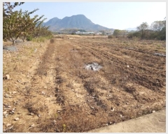  2024Ÿ��12014 ��� �Ǽ��� �ݼ��� �븮�� 623      ����(��1)���