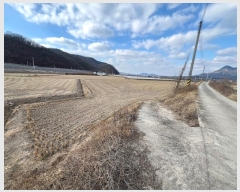  2024Ÿ��12083  ����