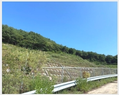  2024Ÿ��717 ��� ������ ���� ��ϸ� ��20      ����(�Ӿ�)���