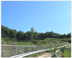  2024Ÿ��717 ��� ������ ���� ��ϸ� ��20      ����(�Ӿ�)���