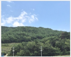  2024Ÿ��717 ��� ������ ���� ��ϸ� ��20      ����(�Ӿ�)���